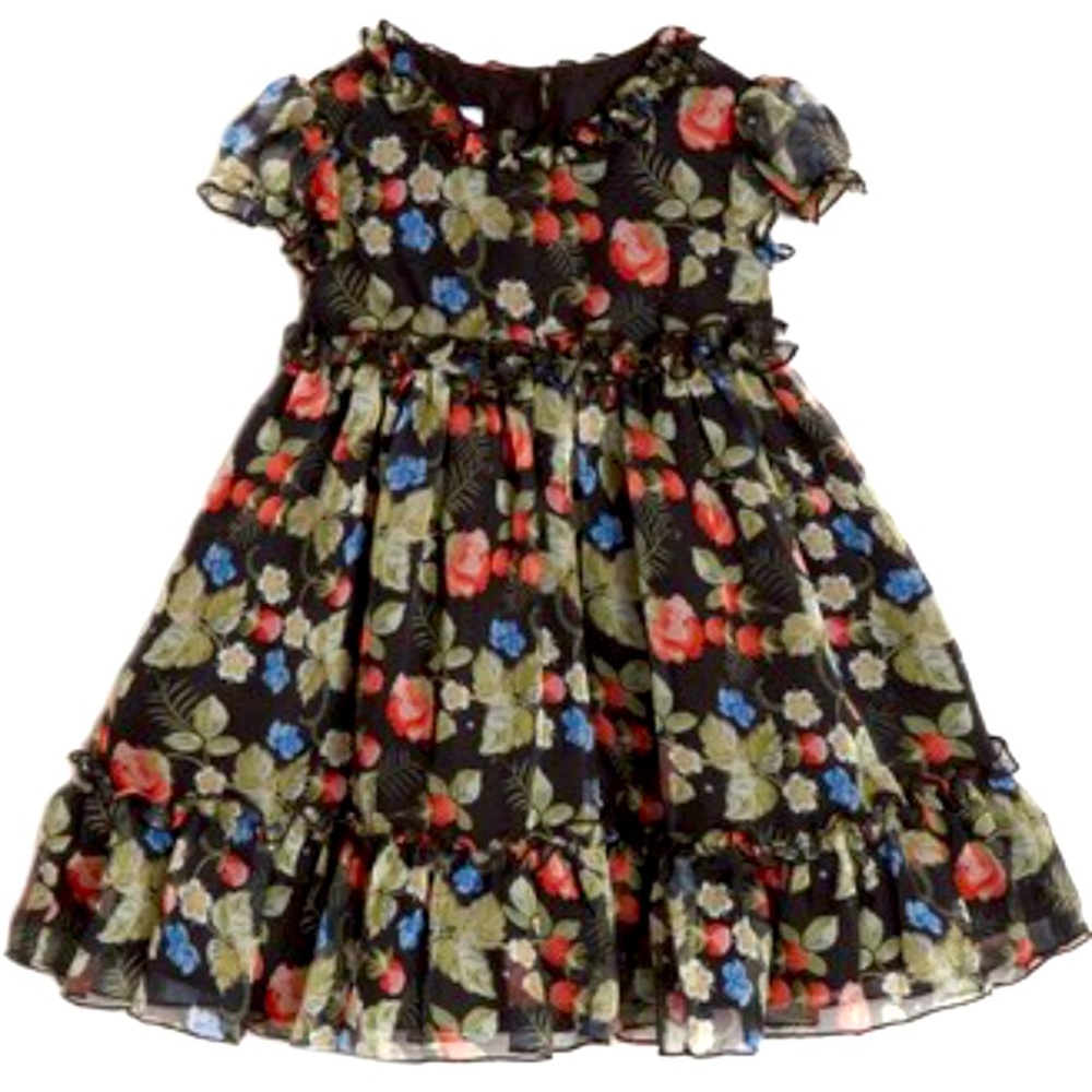 Pippa and Julie Kids' Floral Print Chiffon Dress 2t